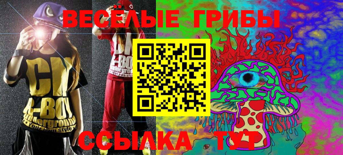 Миасс  Псилоцибиновые грибы мицелий  Вход с VPN 